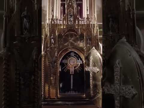 Adoración al Santísimo Sacramento del Altar con el Padre Fabian Esteban Oliva. 08//07/26