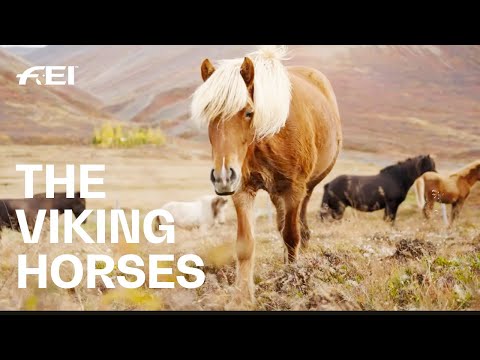 the horses of fire & ice - Icelandic horses | RIDE presented by Longines