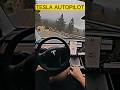 TESLA VS XUV 700 AUTOPILOT MODE COMPARISON Status Youtube Ytshorts