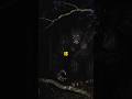 One Of The Scariest Bigfoot Encounters Ninjasarebutterflies Bigfoot Cryptid Documentary