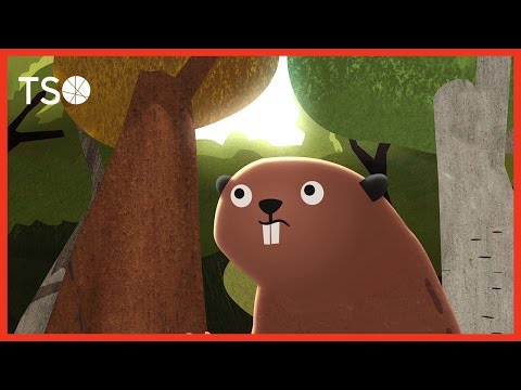 DAM! The Story of Kit the Beaver [Trailer/bande annonce]