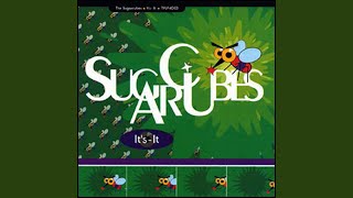 Leash Called Love (Tony Humphries Mix)