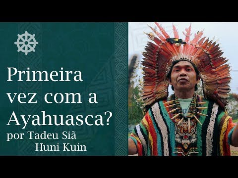 Primeira vez com a Ayahuasca Por Pajé Tadeu Siã Txana Hui Bai - Huni Kuin