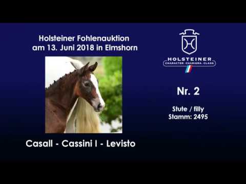 Holsteiner Fohlenauktion im Juni | Nr. 2 v. Casall - Cassini I