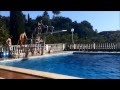 i Splashdiving (una vita, un sogno) 