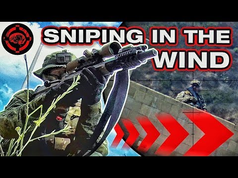 Long Range Cross Wind Shots in Airsoft