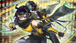 One card S:P little Knight Combo