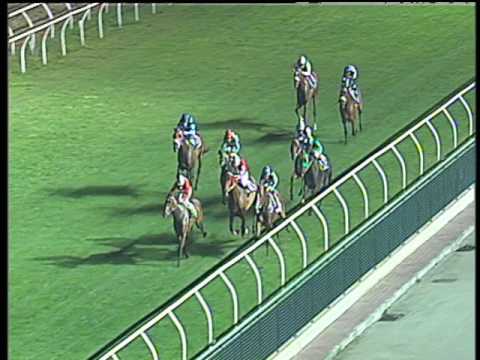 Galoppo 28/06/2017 - 7ª corsa