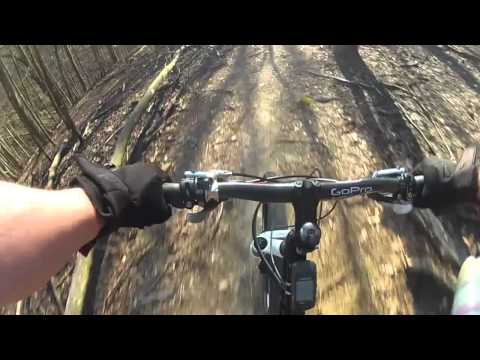 LMU downhill trail to Tipprell Rd.