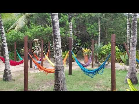 Videos del Arcobaleno 4★ en Porto Seguro, BrasilVer MásVerPrecios14CerrarConsulta por Whatsapp 🇦🇷BookingTripadvisorExpediaAgodaPricelineTripSkyscannerDespegarKayakHotelesBestdayTrivagoTurismocityAlmundo