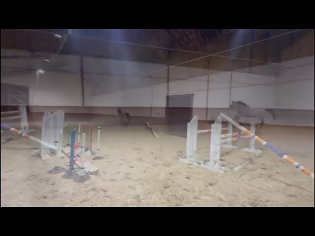 Free jump movie at home Carrera van’t Meerehof Z.