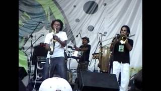 Naturaleza Mística - Mandela