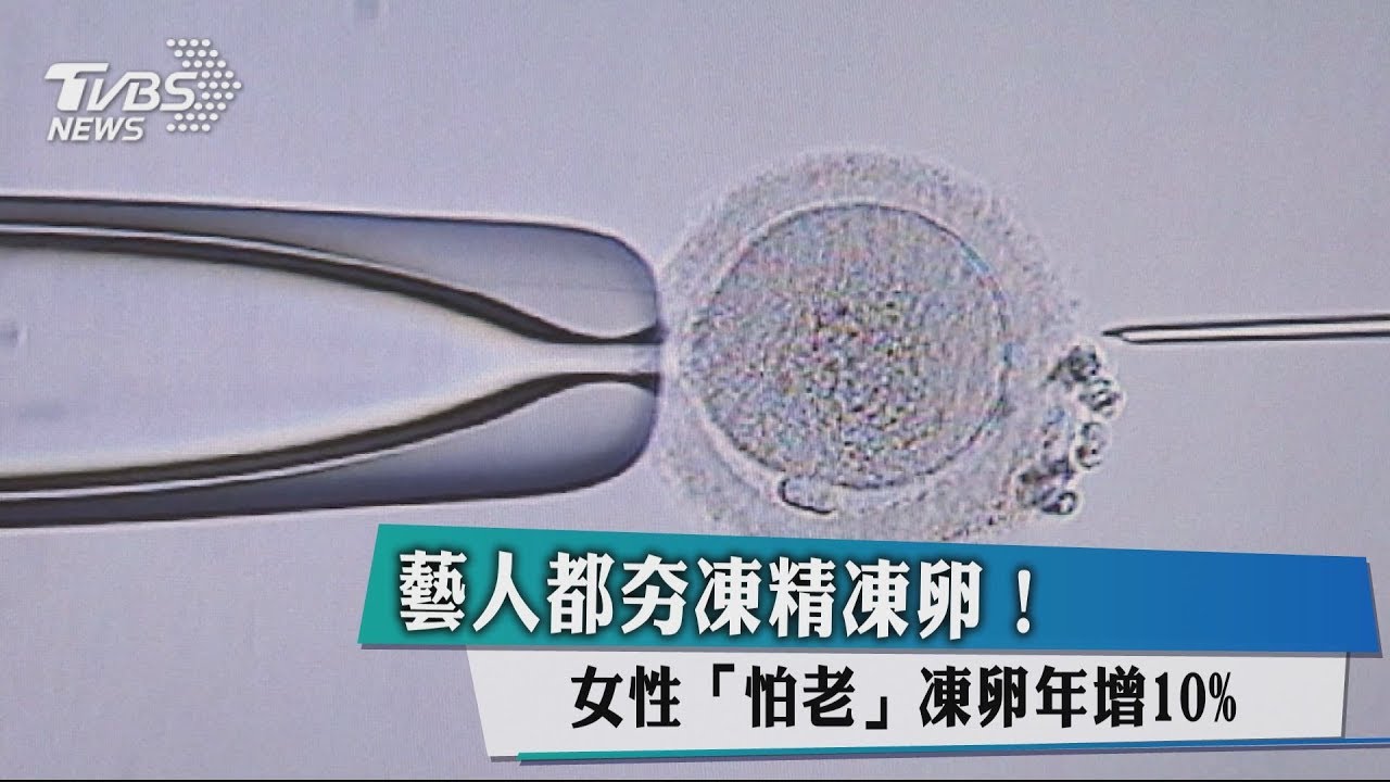 藝人都夯凍精凍卵！女性「怕老」凍卵年增10%