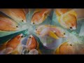 Paramount Pictures Nickelodeon Movies 2004