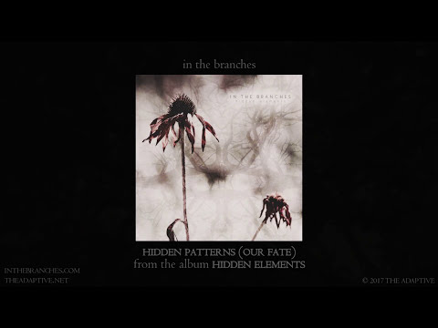 In The Branches - Hidden Patterns (Our Fate) [official video - ambient guitar sleep music]