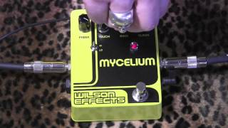 Wilson Effects MYCELIUM Ring Modulator pedal with Kingbee Tele & Mojotone Plexi