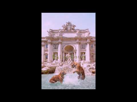 Tyga x Pop Smoke Type Beat 2021~ Exotic |[free]