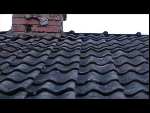 Nilssonii  the movie