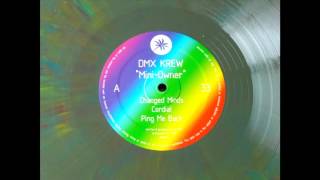 DMX Krew --  Changed Minds