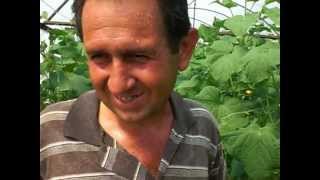 preview picture of video 'FN7 ploro plant potion salatalık üreticisi 2'