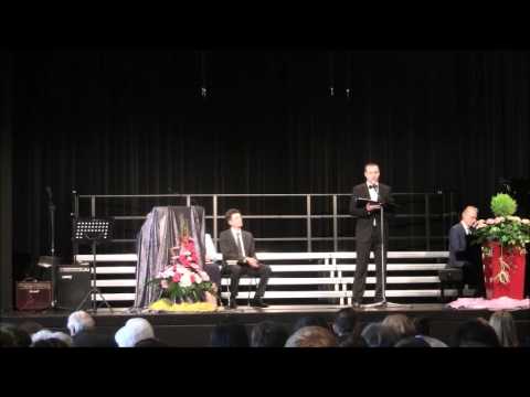 Samo tvoja ljubav Bože Solo Ivica Stojković