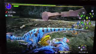 #57 MHXX NSver ｿﾛﾌﾟﾚｲで全ﾀｰｹﾞｯﾄ+ｻﾌﾞﾀｰｹﾞｯﾄ達成を目指して(ﾌﾞｼﾄﾞｰ大剣)