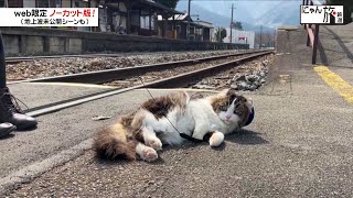 Vol.149「にゃん旅鉄道」気持ちいい陽気だにゃ♪