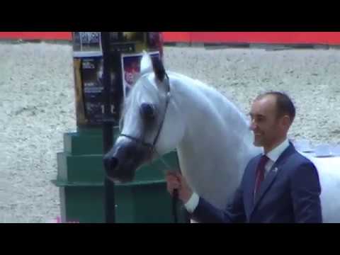 Memories of Paris 2018 - World Championships - Part 11 - Senior  Male - Group A