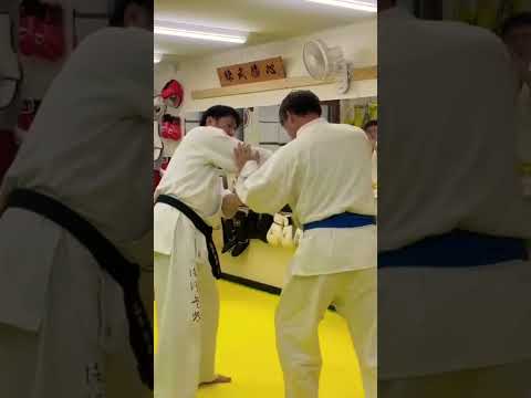 #護心空手道 #護心の型一箇条 #武道 #護心体術 #武芸 #崩し