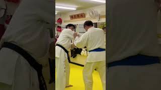 #護心空手道 #護心の型一箇条 #武道 #護心体術 #武芸 #崩し