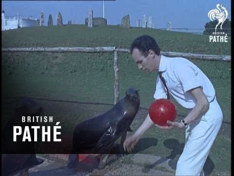 Performing Sea Lions (1965)