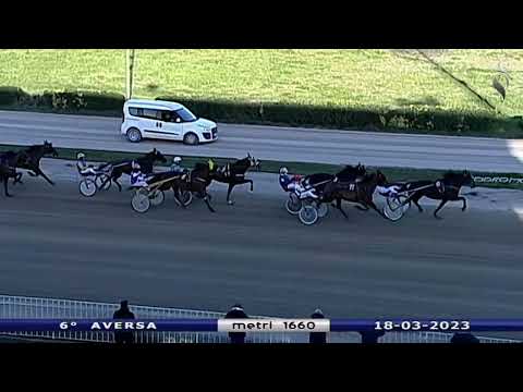 Aversa trotto 18 Marzo 2023 - 6° Corsa