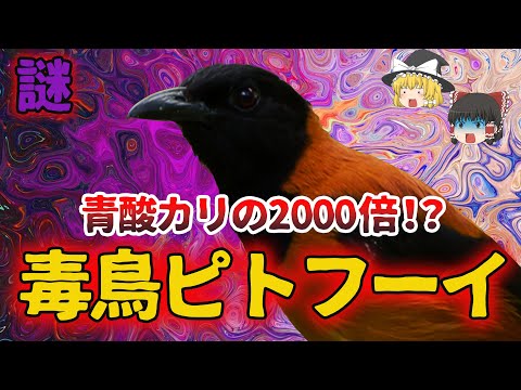 バトラコトキシンについて詳しく解説