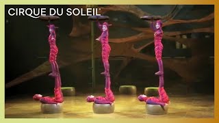 OVO by Cirque du Soleil - Ants Act