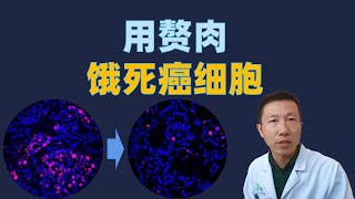 为什么癌症难以治愈？最新科学发现，利用赘肉可以饿死癌细胞