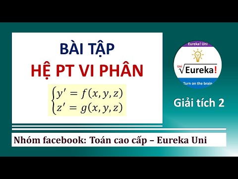 4.3 Hệ phương trình vi phân: hệ chuẩn tắc & hệ tuyến tính thuần