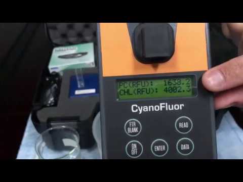 CyanoFluor: How to measure PC to CHL ratios in DOM rich water