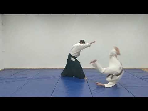 Aikido Basic Techniques: Tsuki - Kokyu Nage