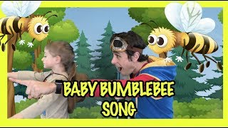 Baby Bumblebee Song | Kit Explores Children&#39;s songs