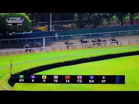 VICTORY RIDE STAKES {G 3} 7/8/18 DIXIE SERENADE !!!