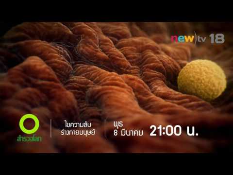 แรงชาย uvelechenie Fitodrug เพื่อเพิ่มความแข็งแรง