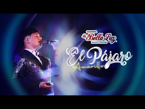 El Pájaro Amarillo - La Bella Luz (Stiven Franco En Vivo)