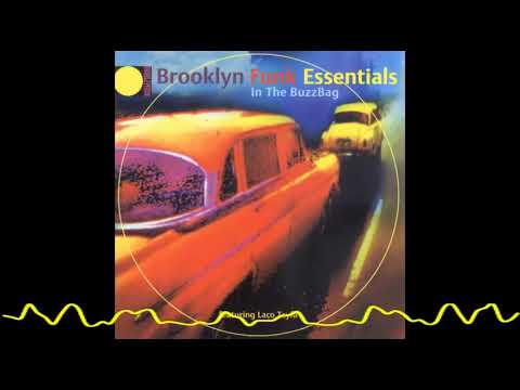 Brooklyn Funk Essentials feat Laço Tayfa - Istanbul Twilight (In The Buzzbag- 1998)