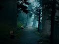 Subscribe To This Channel For More Nature S Videos Nature Beautiful Youtube
