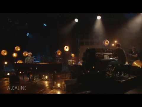 Alcaline, le Concert : Vincent Delerm - "Fanny Ardant et moi"
