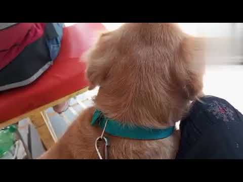 𝙈𝙮 𝙁𝙞𝙧𝙨𝙩 𝙑𝙡𝙤𝙜  ☺☺😇😇😇😇😇😇🌹#𝙫𝙡𝙤𝙜#𝘽𝙧𝙞𝙨𝙩𝙮𝙡