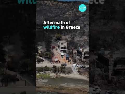 Aftermath of wildfire in Greece