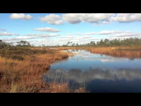 Nätsi-Võlla Rabamatk