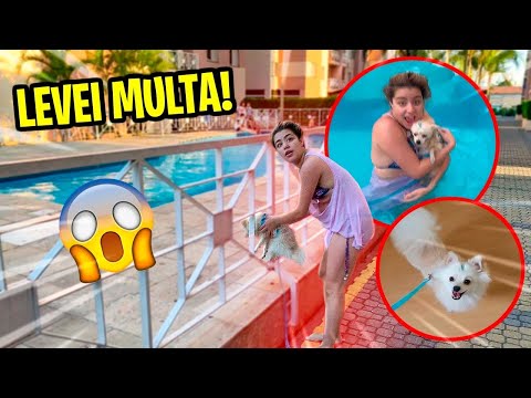 JOGUEI MEU CACHORRO PISCINA DO PRÉDIO E LEVEI MULTA!! *Primeira vez nadando*