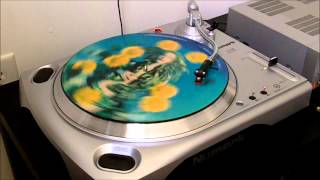 Sowing The Seeds Of Love - 12 in Single (Picture Disc) - Tears For Fears